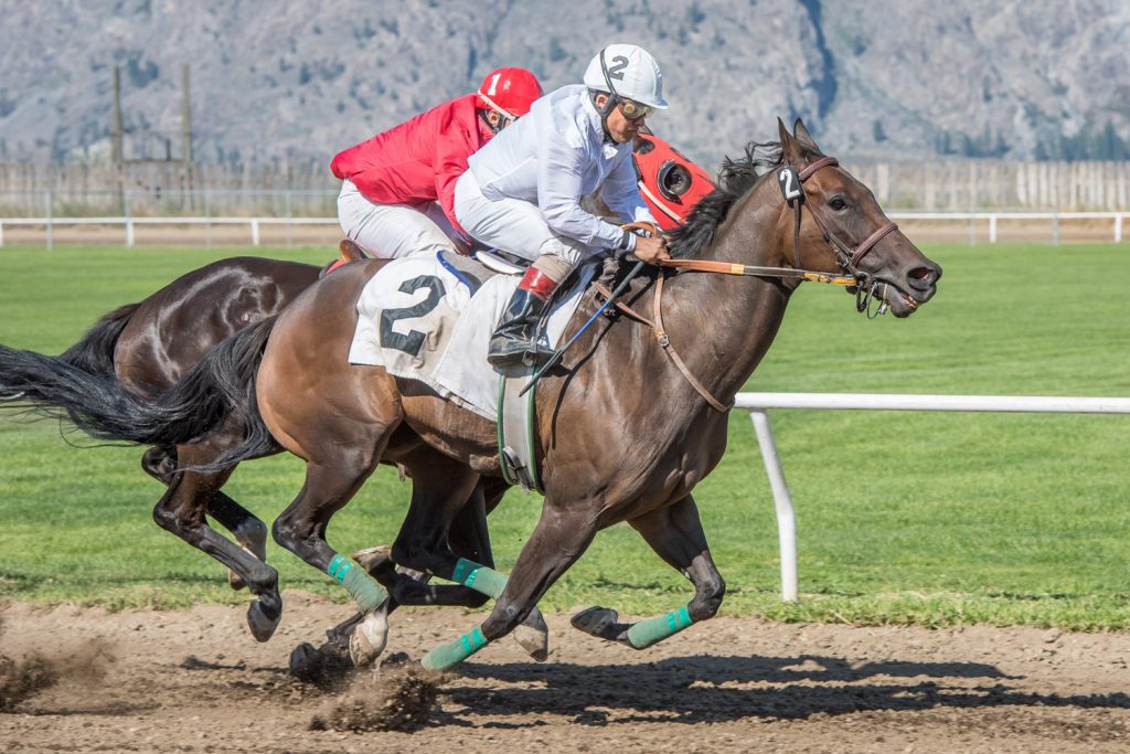Lil Miss Bean (number 2) and Soaring Like Eagle are neck and neck as they race down the track at Desert Park in the fifth and final race on Saturday. (Richard McGuire photo)