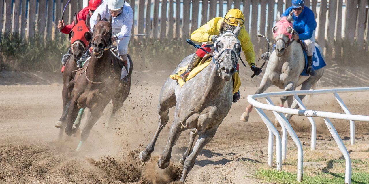 Spectators enjoy exciting horse races from shade of renovated grandstand