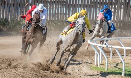 Horse racing returns to Desert Park on Saturday