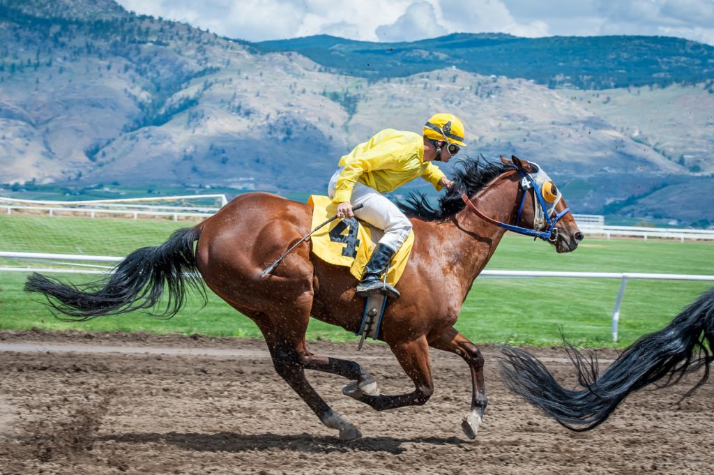 Honor the Call, number 4, caught up from behind to overtake other horses and win the first race. (Richard McGuire photo)