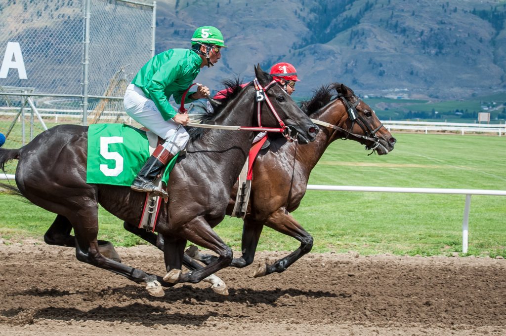 There were five horses on the program for the second race, but after a couple were scratched and one horse threw the jockey, only these two horses completed the race -- Sisterrell, number 5, who won, and Viva Zavata, number 1. (Richard McGuire photo)