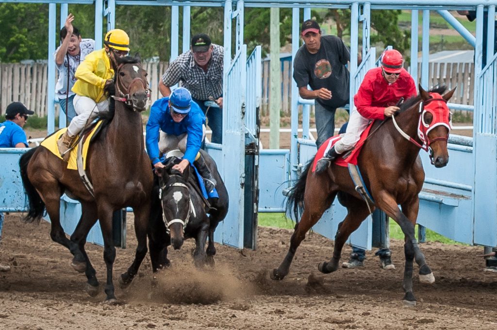 The third race, a thoroughbred allowance, got off to a rough start when Andy Parker, number 3, decided to try to get rid of the jockey. Only three horses ran this race. (Richard McGuire photo)