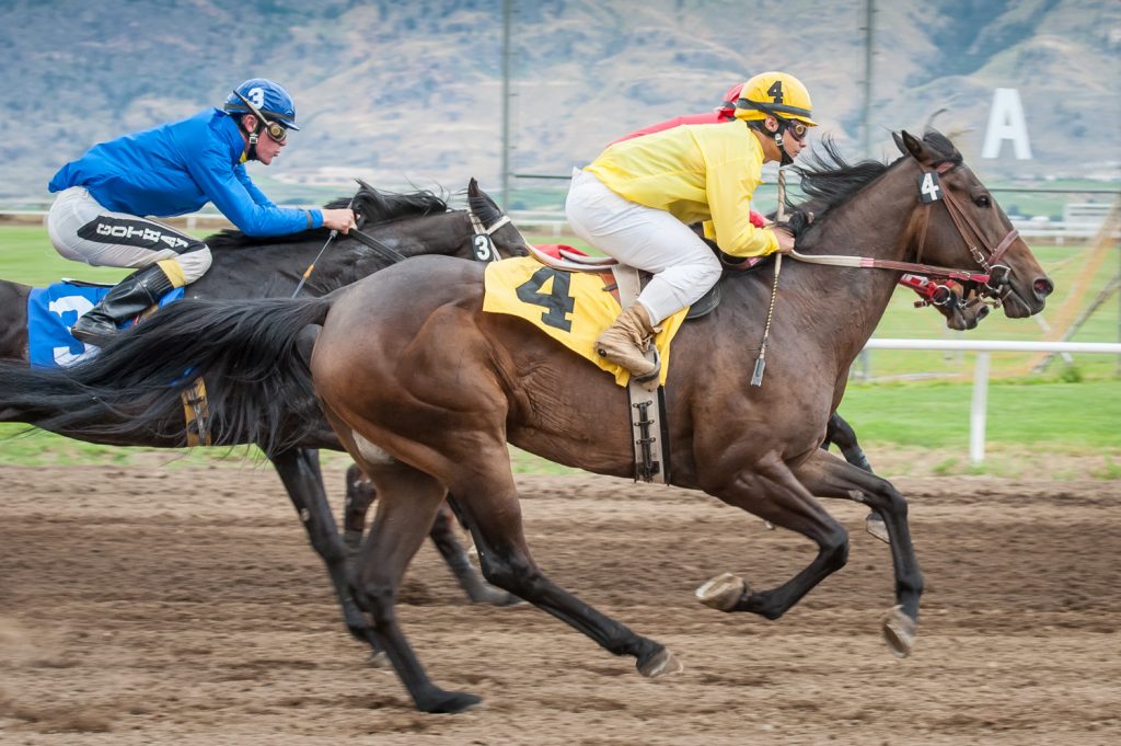 Chica Caliente (No. 4) and Mr. Gnarly (No. 1) are neck and neck early in the third race, while Andy Parker (No. 3) followed closely behind. (Richard McGuire photo)