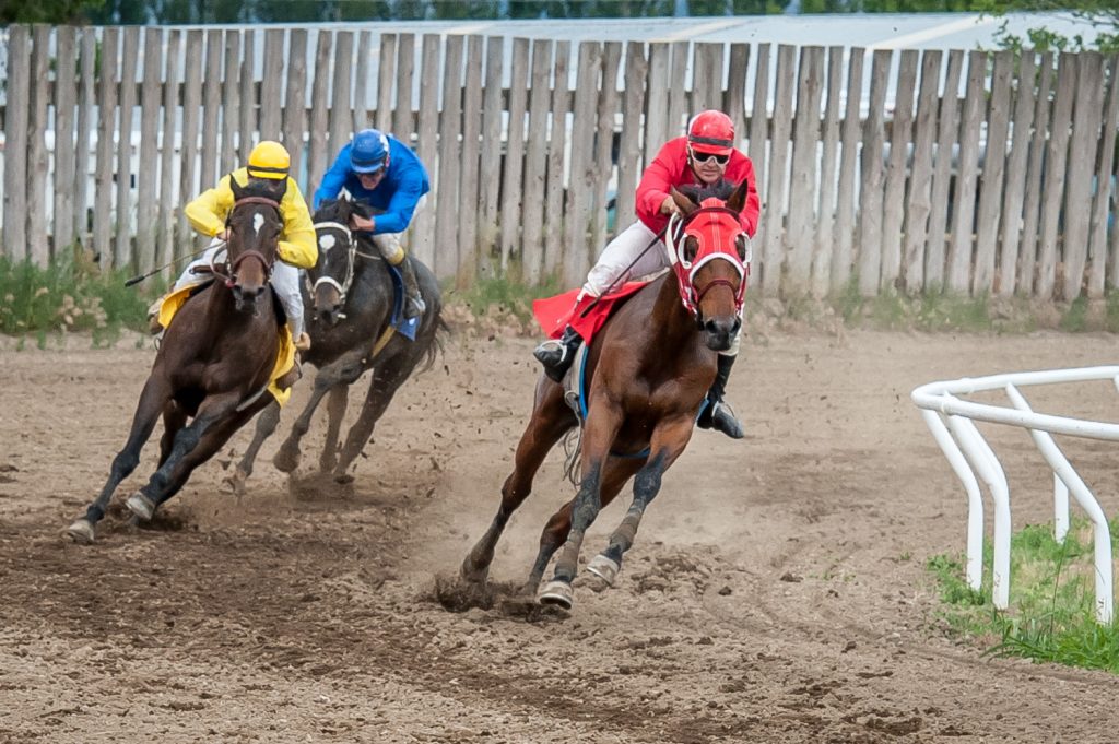 As all three horses round the bend in the third race, Mr. Gnarly (right) is out in front. (Richard McGuire photo)