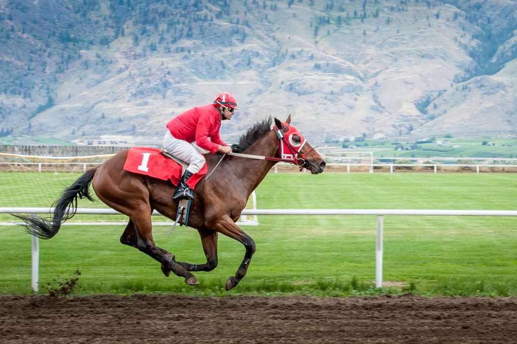 Mr. Gnarly (No. 1) leads the way down the final stretch of the third race. (Richard McGuire photo)