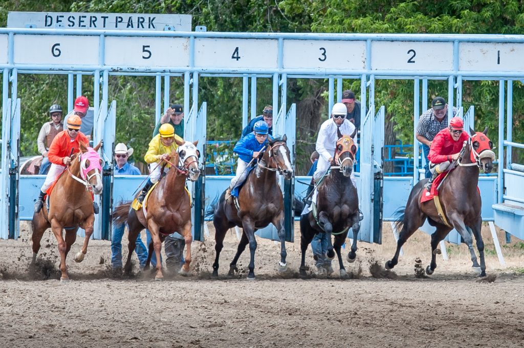 Five horses race out of the gate in the fourth race, a 330-yard run for quarter horses. (Richard McGuire photo)