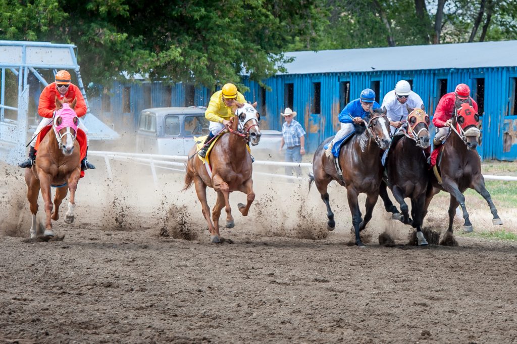 Three horses had a mild collision shortly after leaving the gate in the fourth race, for quarter horses. (Richard McGuire photo)
