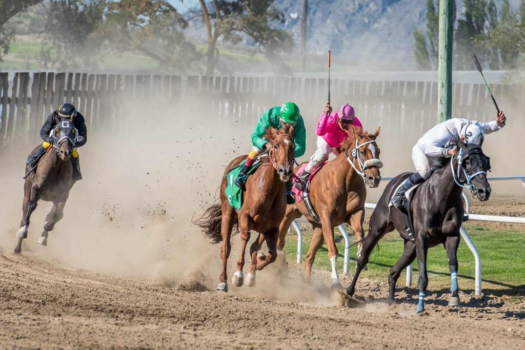 Horses round the final bend in the sixth and final race at Desert Park in August during the one race day of the year. (Richard McGuire photo)
