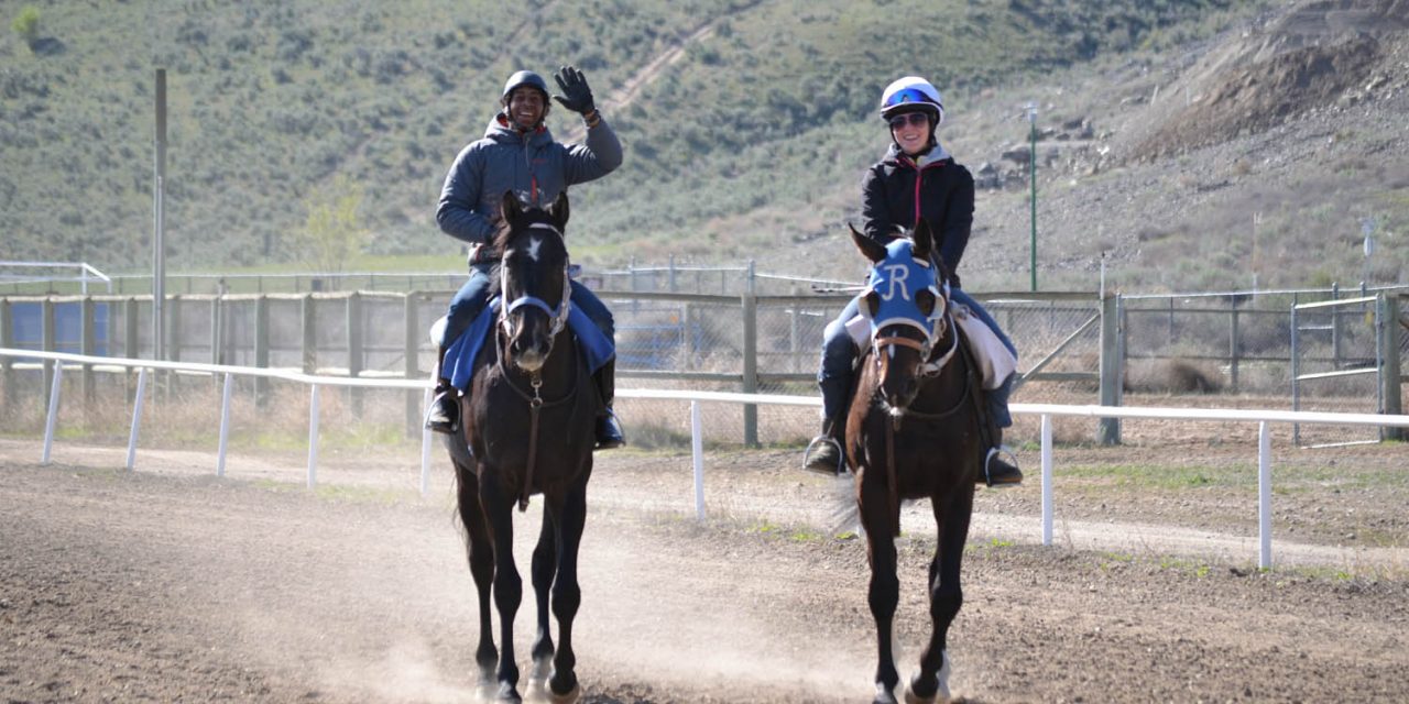 Desert Park winter training drawing more top horses