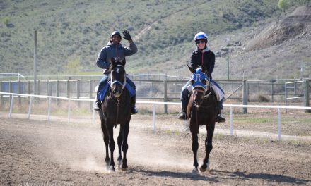 Desert Park winter training drawing more top horses