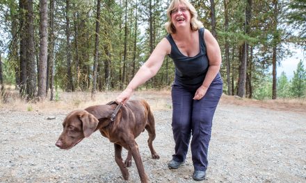 Dog lost at Regal Ridge turns up in Grand Forks