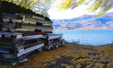 TOWN WORKING TO CLEAR LAKE ACCESSES