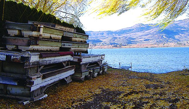TOWN WORKING TO CLEAR LAKE ACCESSES