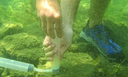 STUDY AIMS TO TAKE ‘SNAPSHOT’ OF LAKE FOR FUTURE COMPARISONS