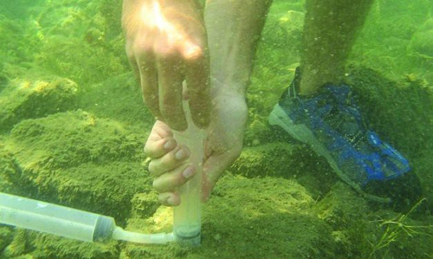 STUDY AIMS TO TAKE ‘SNAPSHOT’ OF LAKE FOR FUTURE COMPARISONS