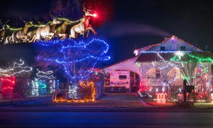 Christmas decorations light up Osoyoos homes