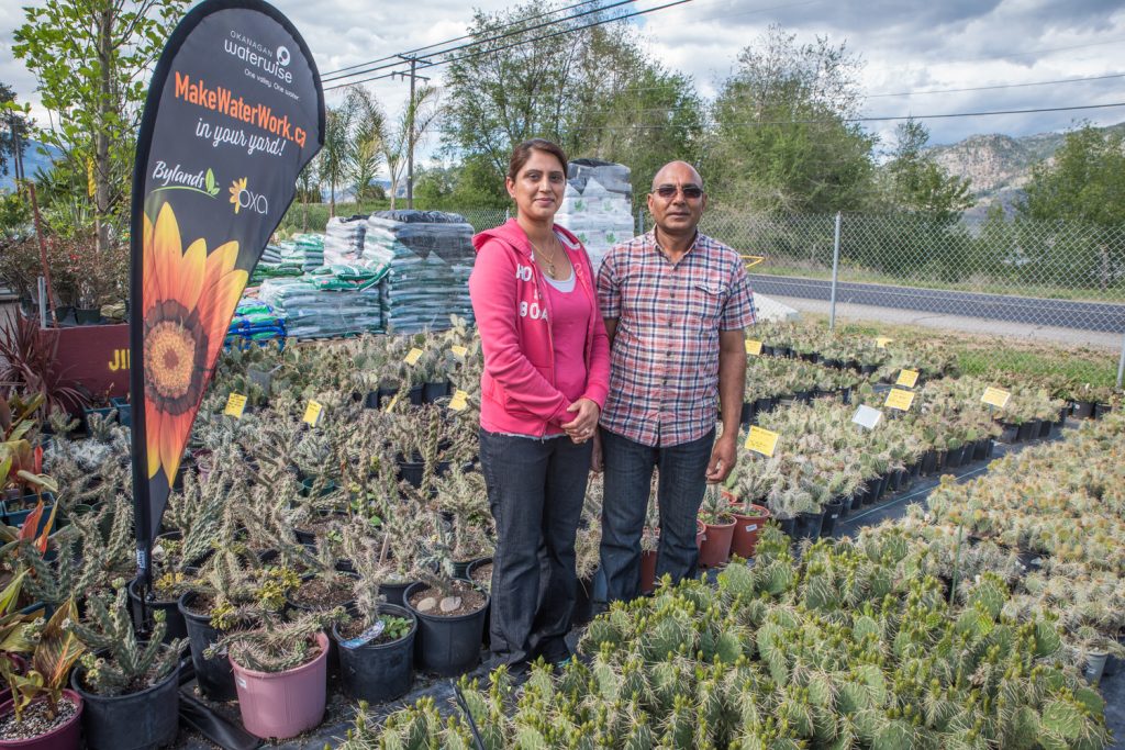 Surinder Sandhu (left) and Jeewan Sandhu of Sandhu Greenhouses show a wide range of cactus species that require less water and do well in dry climates such as that found in Osoyoos. A number of other plants besides cactus are being promoted as WaterWise under the Make Water Work! program. (Richard McGuire photo)