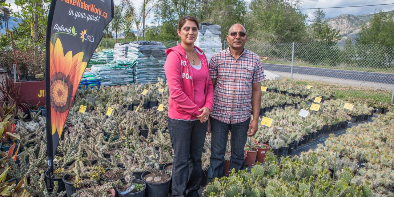 Water conservation program aims to make home lawns and gardens waste less water