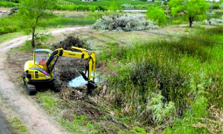 OWNER OF ENVIRONMENTALLY SENSITIVE PROPERTY SAYS CLEARING WORK CARRIED OUT IN RESPONSIBLE MANNER