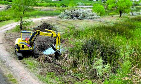 OWNER OF ENVIRONMENTALLY SENSITIVE PROPERTY SAYS CLEARING WORK CARRIED OUT IN RESPONSIBLE MANNER