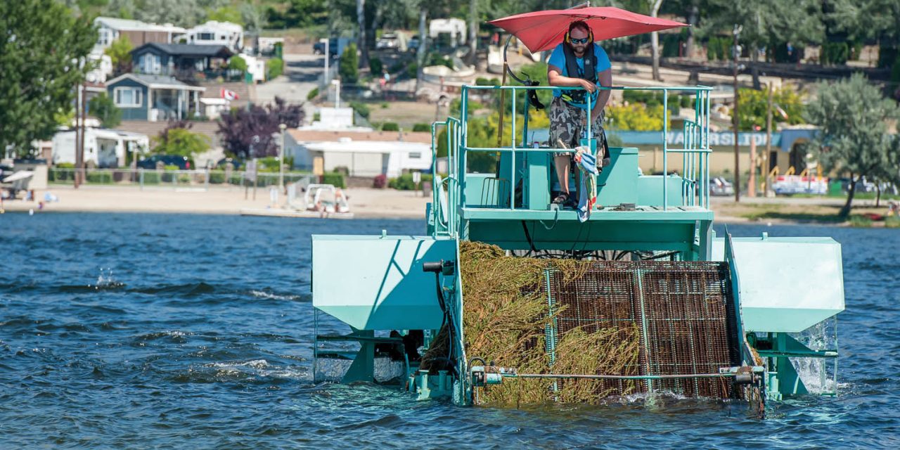 Winter milfoil program well underway