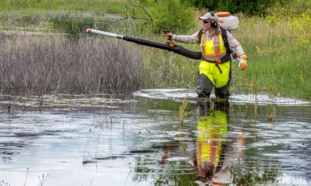 Mozzie season a tough one to predict says RDOS