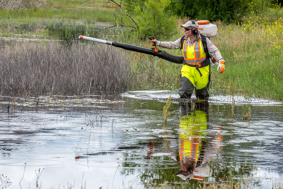RDOS helps reduce nuisance mosquitos