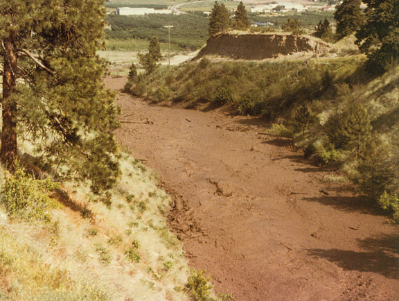 mudslide83web Terry Wells said he took this photo of a mudslide at Tinhorn Creek at 3:50 p.m. on May 28, 1983. A “massive mud ball” came down the creek about 20 minutes earlier, he said. Photo submitted - Click on picture for larger image