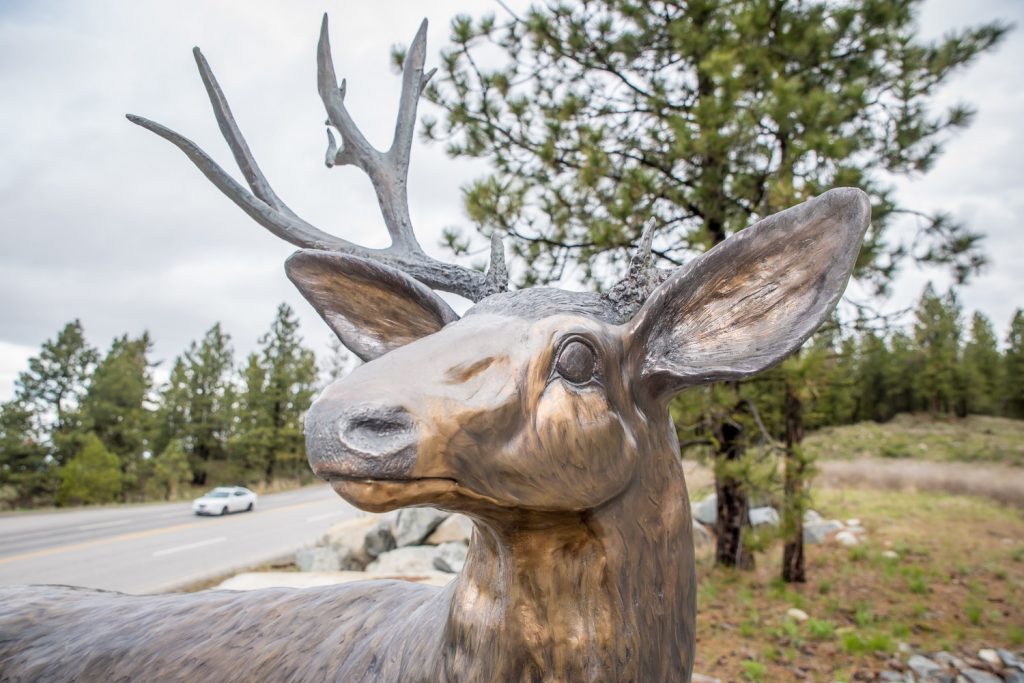 A vandal or vandals removed one of the antlers from the cast bronze statue of a mule deer on Anarchist Mountain. (Richard McGuire photo)