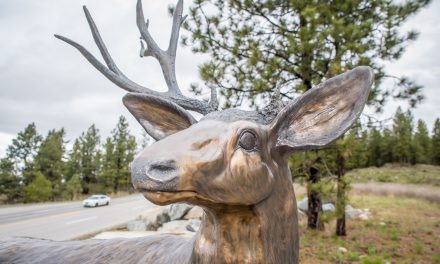 Anarchist Mountain community upset about vandalism of mule deer statue