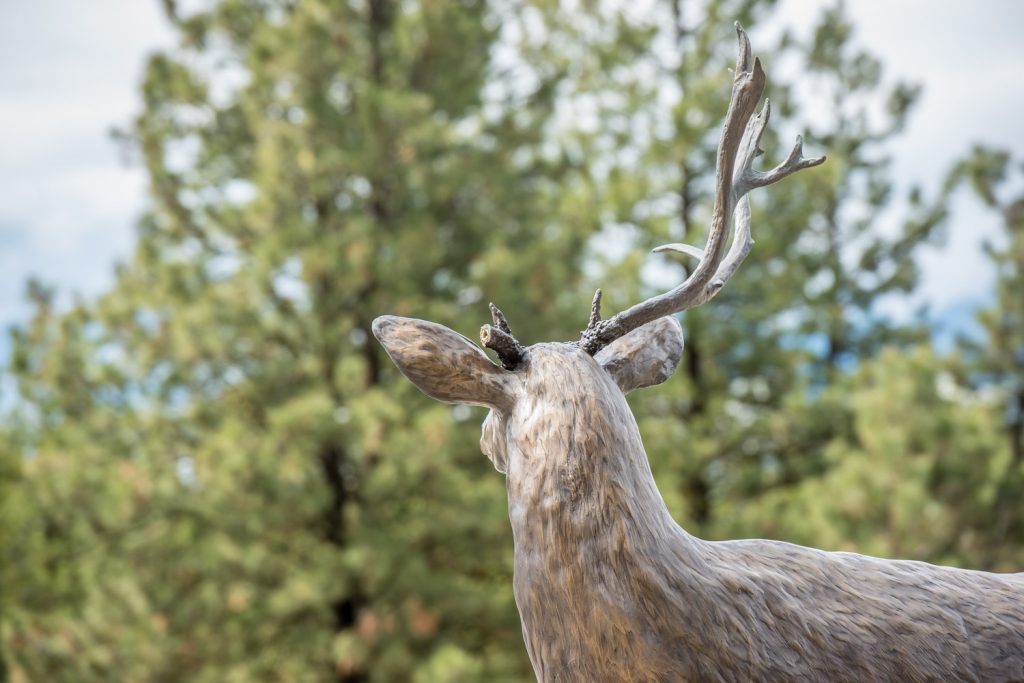 A vandal or vandals removed one of the antlers from the cast bronze statue of a mule deer on Anarchist Mountain. (Richard McGuire photo)