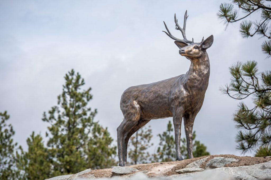 A vandal or vandals removed one of the antlers from the cast bronze statue of a mule deer on Anarchist Mountain. (Richard McGuire photo)