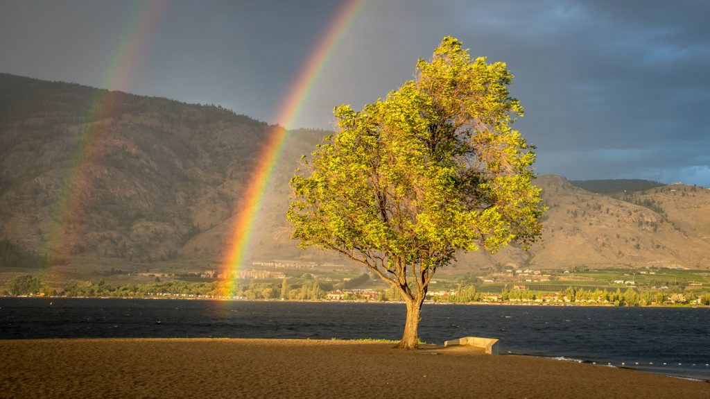 A brief storm interrupted Osoyoos Music in the Park Friday evening, but when it passed over, a double rainbow spread over Osoyoos Lake. (Richard McGuire photo)