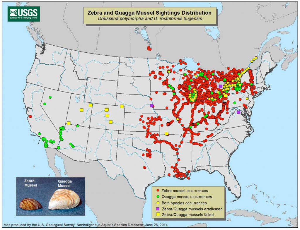 Residents urged to ‘have the talk’ about invasive mussels
