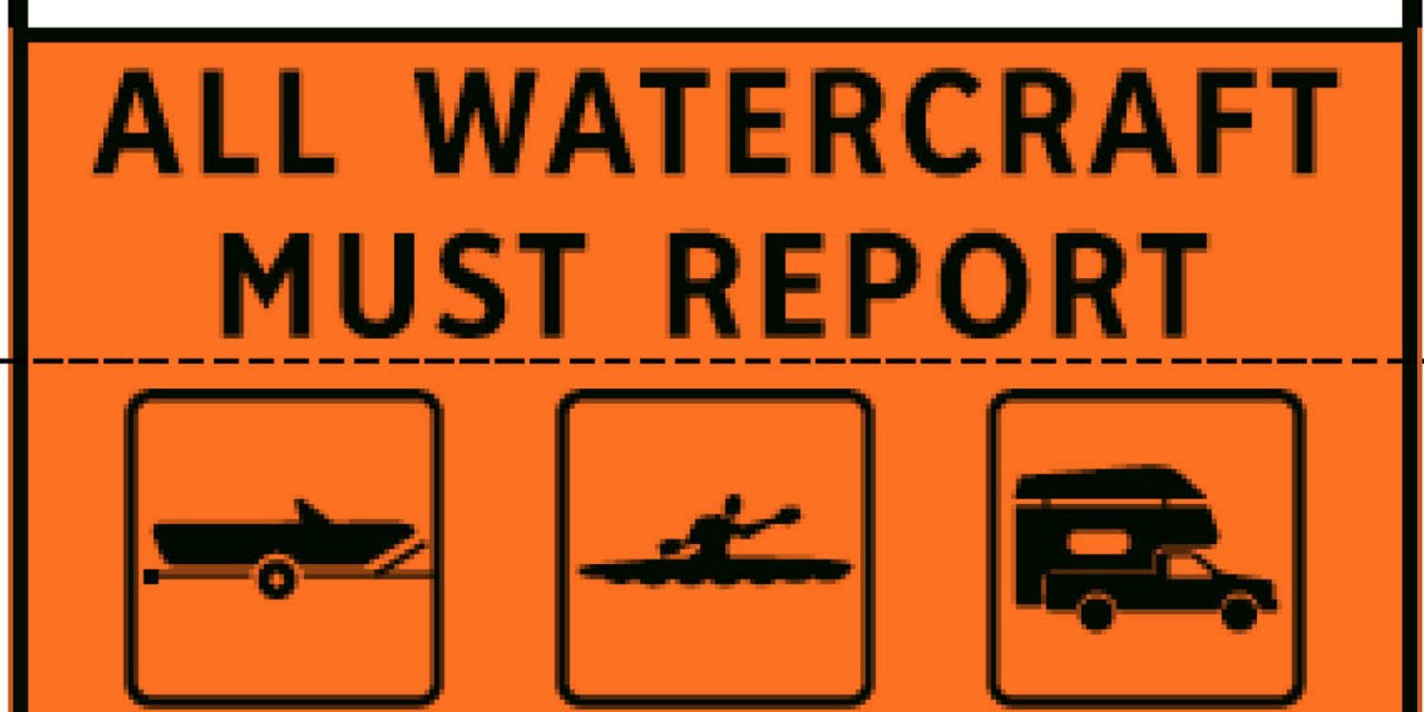 Mussel searches find contaminated boats, prompting calls for stronger inspection program
