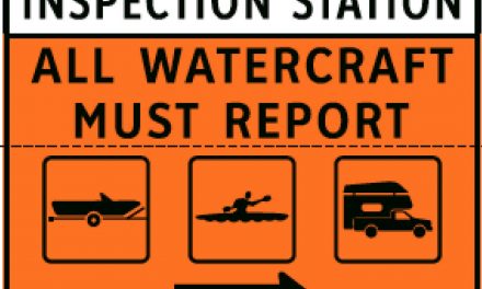 Mussel searches find contaminated boats, prompting calls for stronger inspection program