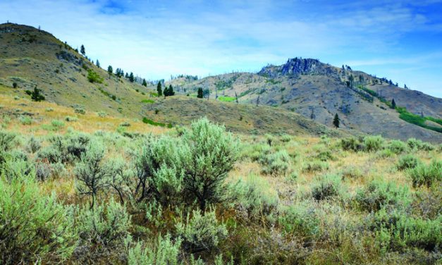Parks Canada provides update on National Park reserve