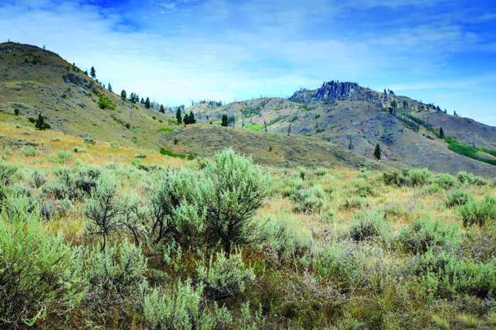 Federal candidates express views on national park