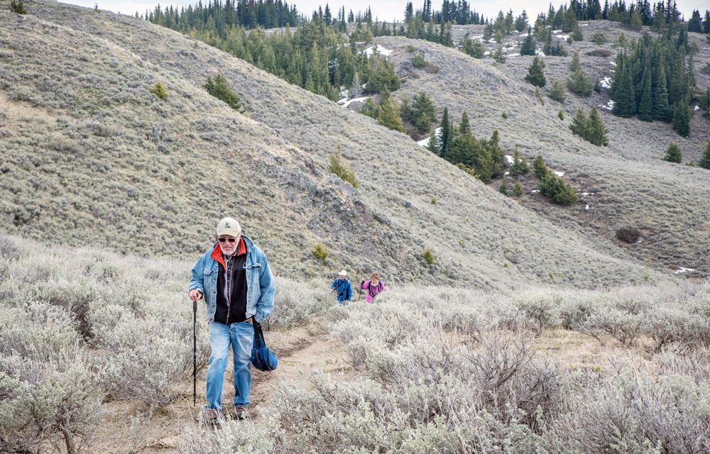 Wilderness Committee says documents show province downplaying support for national park