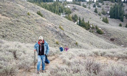 Wilderness Committee says documents show province downplaying support for national park