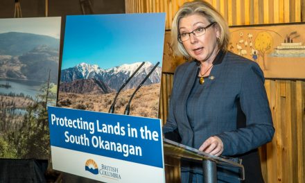 Province returns to table to discuss national park with feds