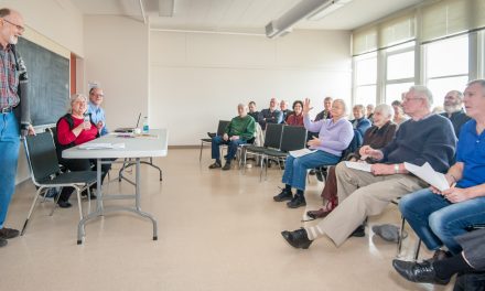 NDP contenders take aim against Stephen Harper