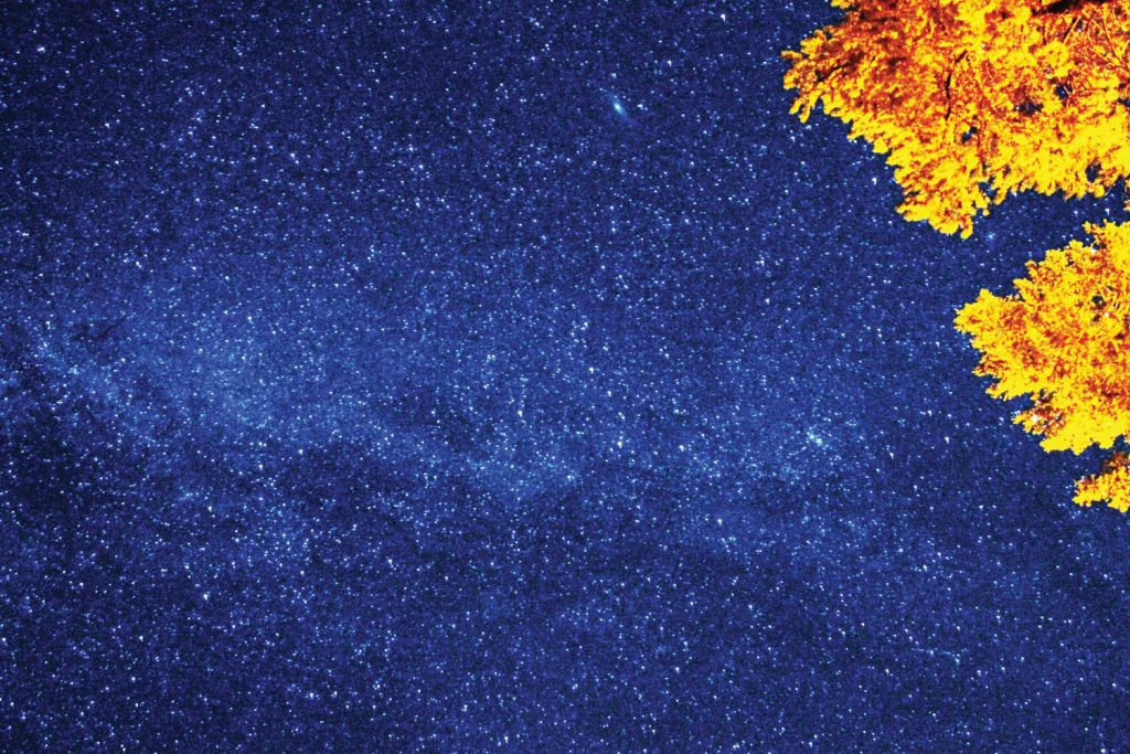 The clearest view of the night sky in the South Okanagan is often at the Dominion Radio Astrophysical Observatory. (Dan Walton photo)