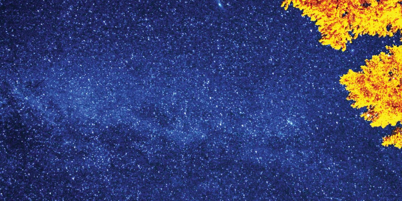 Stargazers invited to observe Perseid meteor shower at Dominion Radio Astrophysical Observatory