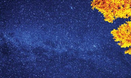 Perseid meteor shower to come pouring in