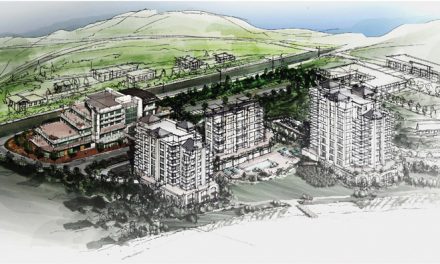 STEPS TAKEN TO MAKE OASIS PROJECT A REALITY