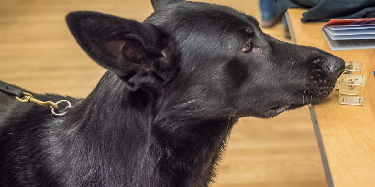 Water board invests in UBCO’s high-tech dog’s nose