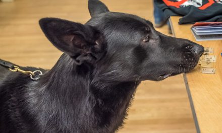 Water board invests in UBCO’s high-tech dog’s nose