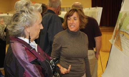 STAKEHOLDER WORKSHOP ON FUTURE OF GYRO PARK ENVISIONS FAMILY-FRIENDLY DEVELOPMENT