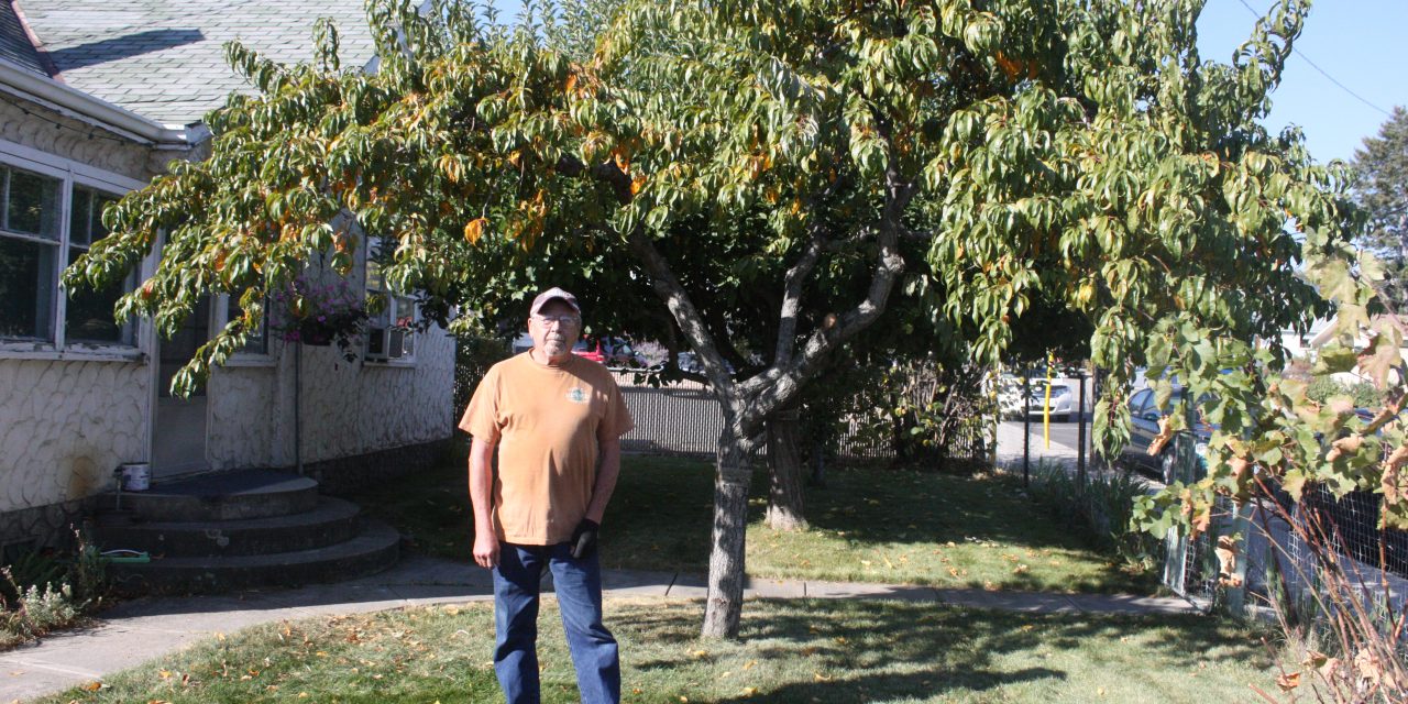 GROUP OF TEENS FROM LOCAL CHURCH PERFORM GOOD SAMARITAN WORK FOR OSOYOOS FAMILY